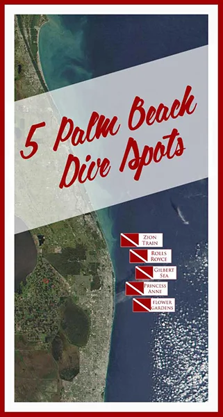 Diving in South Florida