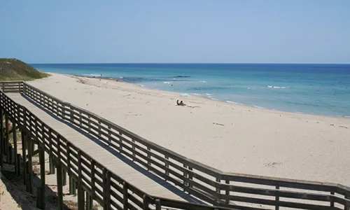 boynton_500