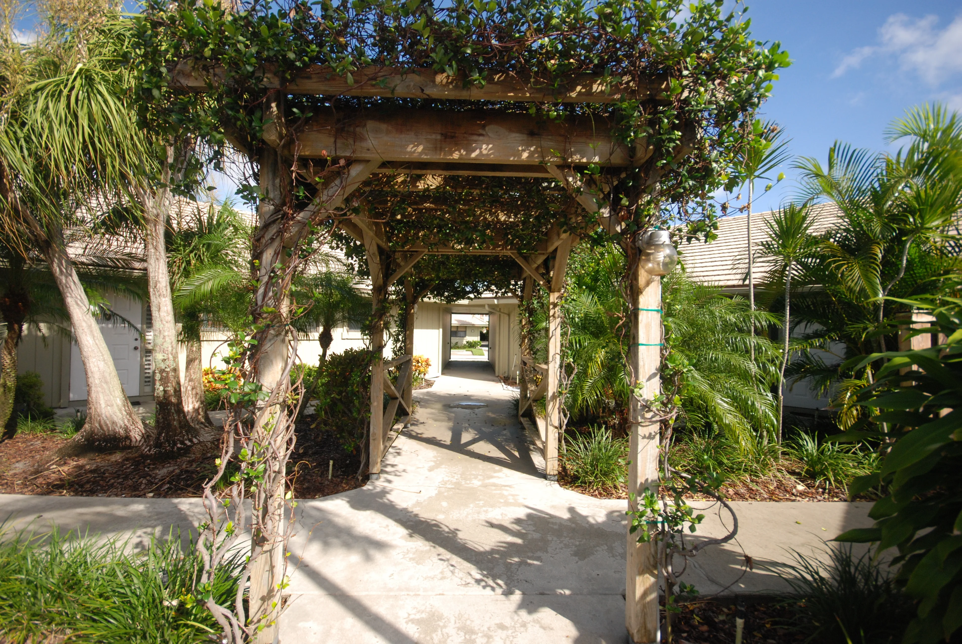 courtyard_3872