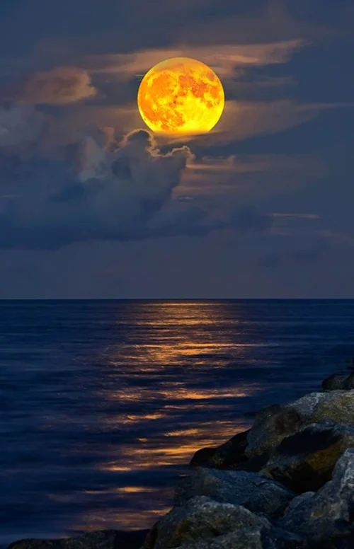 eveinginmoon_776