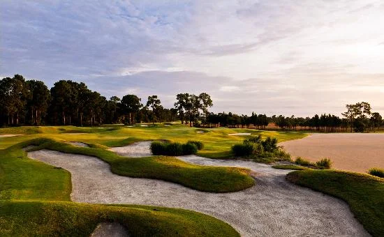 filename-1bunkers-pgav_550