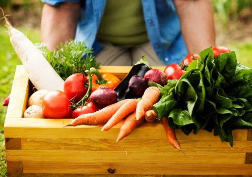 gardenveggie_500