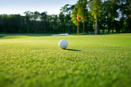 golf2_425_03