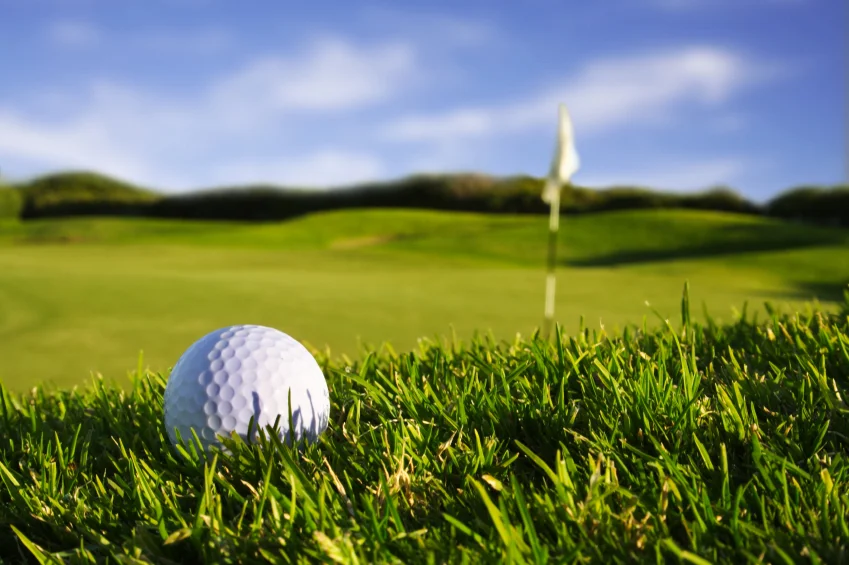 istock_000002149649_small_849_01