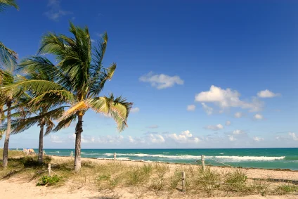 Friends of MacArthur Beach State Park