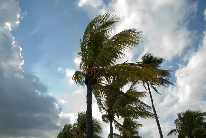 istock_000002888261small_847