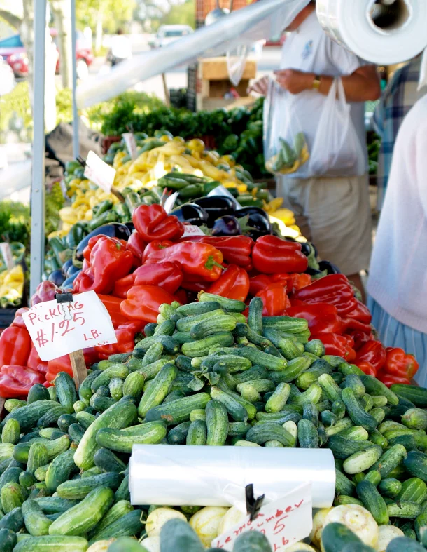 SUMMER GREEN MARKET IN WEST PALM BEACH 