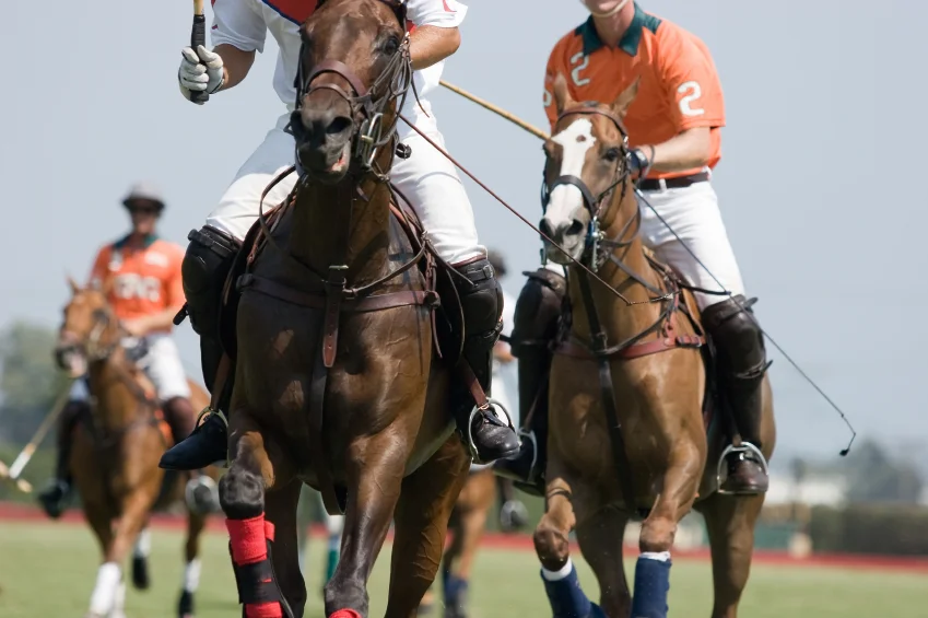 Palm Beach Polo