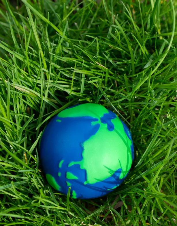 istock_000005890758small_782 istock_000005890758small_782