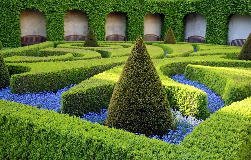 Summer Gardening 
