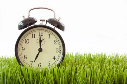 istock_000008334305xsmall_copy_425