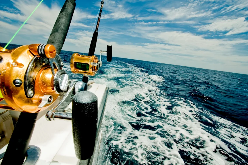 istock_000010104259small_849