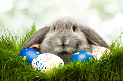 istock_000012162067xsmall_425
