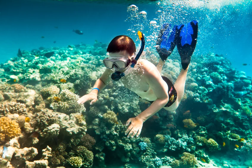 istock_000013806670small_849 istock_000013806670small_849