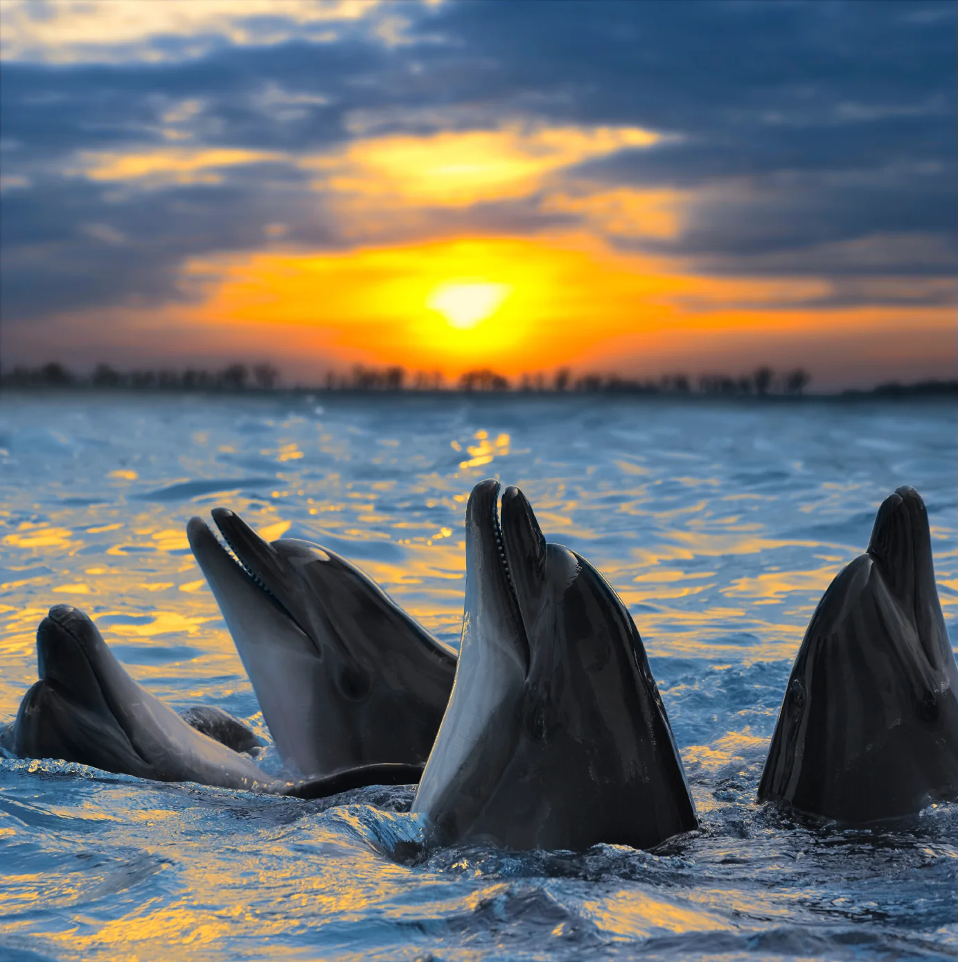 Fort Lauderdale Blue Wild Expo
