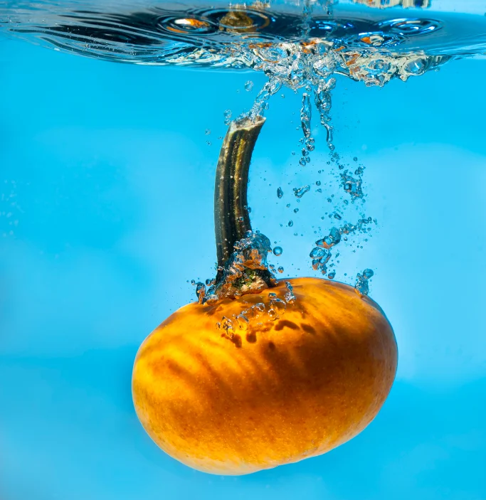 istock_000021842144small_703