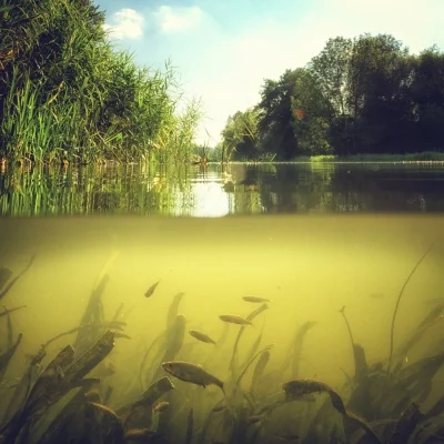 River Monsters TV Show