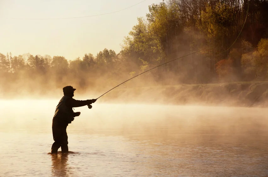 istock_000032876638small_851 istock_000032876638small_851