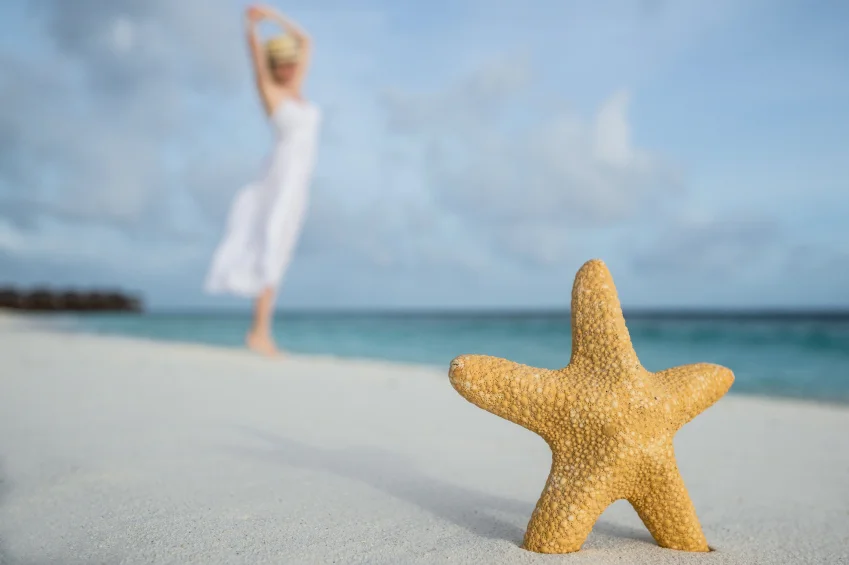 istock_000045287602small_849
