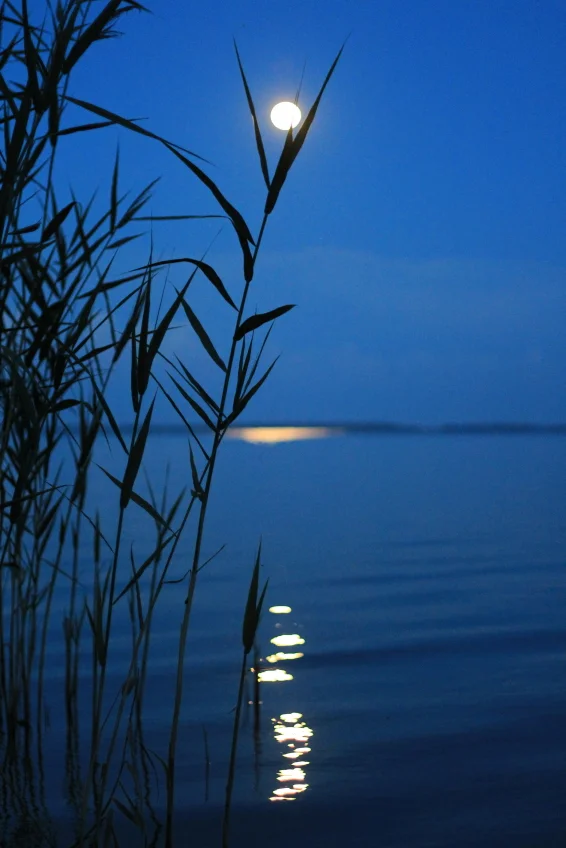istock_000046024360small_848