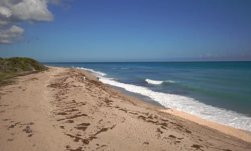 lakeworth_500