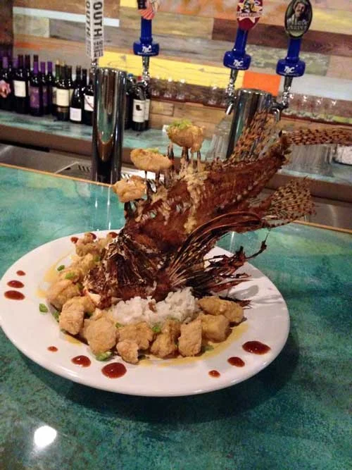 lion_fish_grommets_500_667