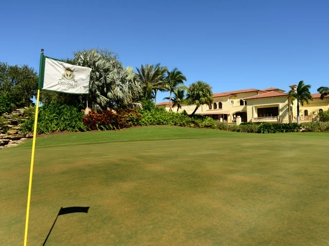 old_palm22_640