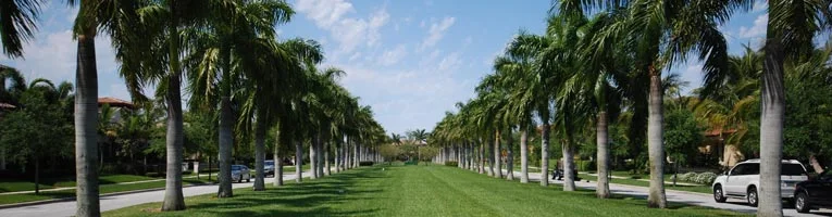 Abacoa Homes & Real Estate