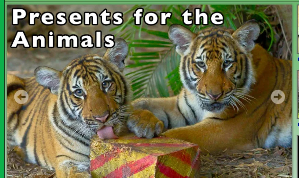 Christmas for the Animals 
