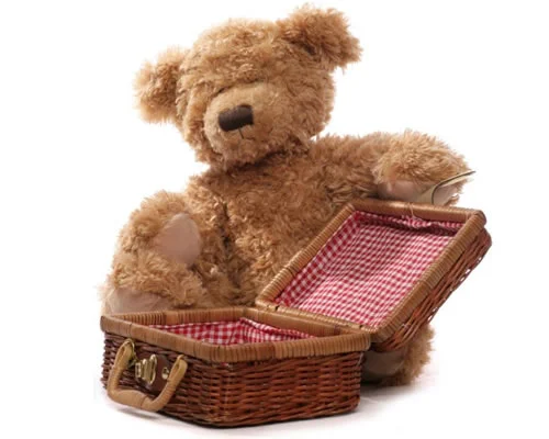 teddybear_2_500