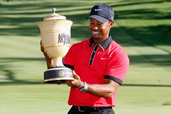 tiger_bridgestone_600_02
