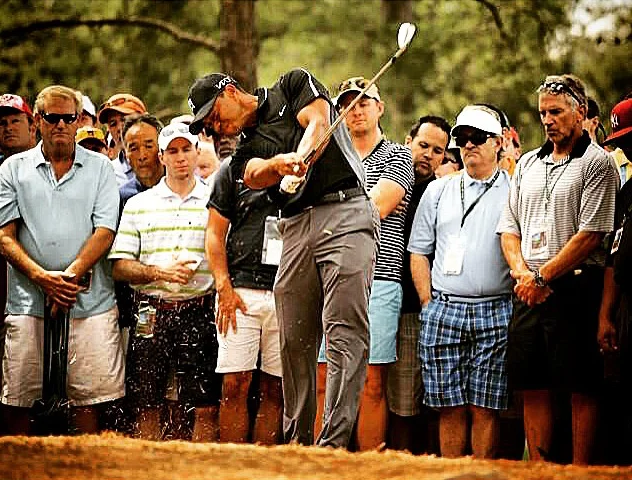 tiger_masters_632