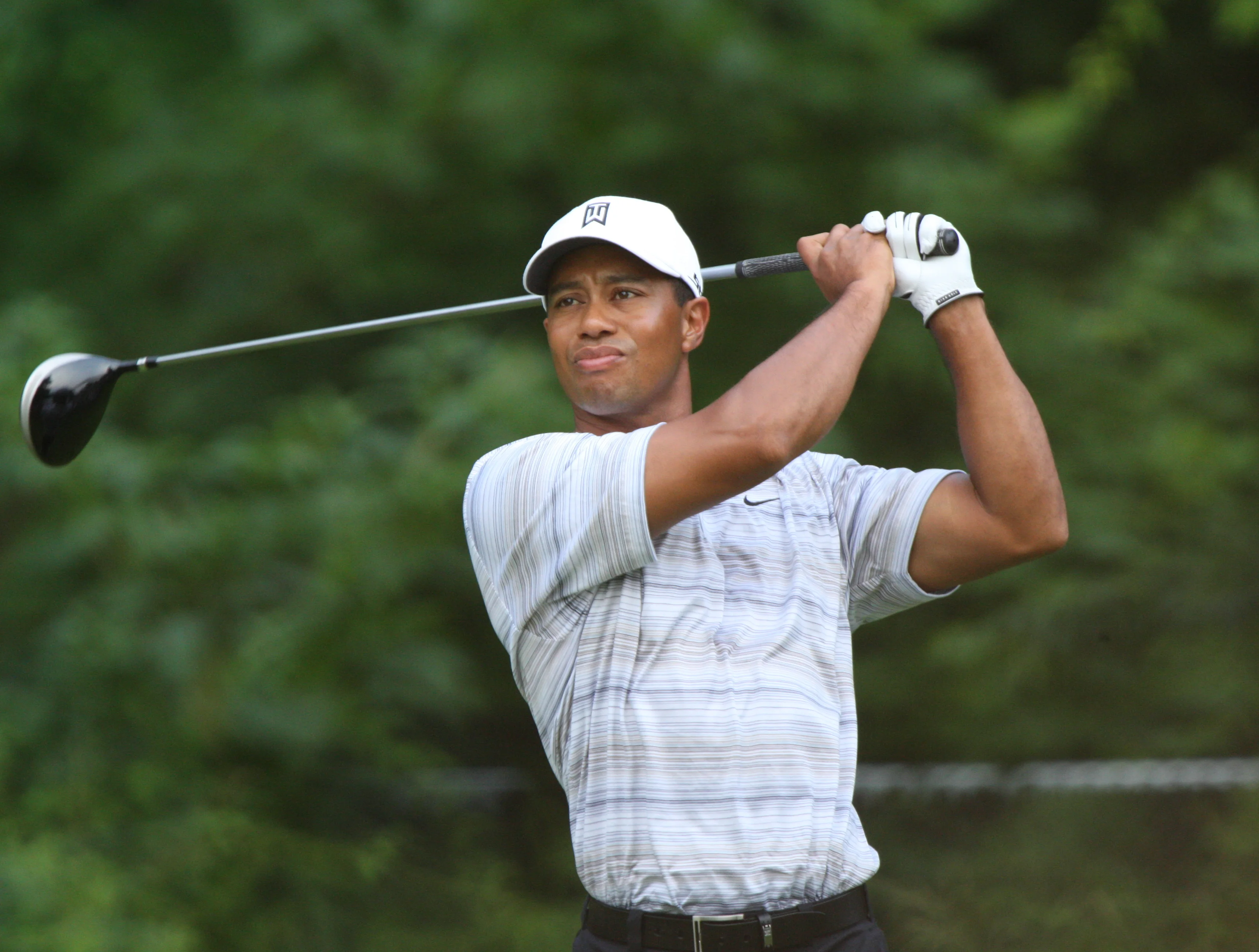 tiger_woods_drives_by_allison_3426_01