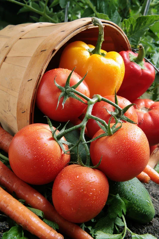 Local Markets in the Village of Tequesta 