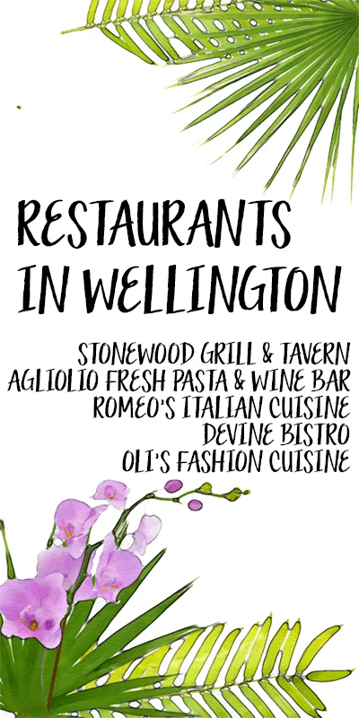 wellington_pin_800