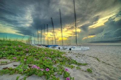 Things to do in Delray Beach