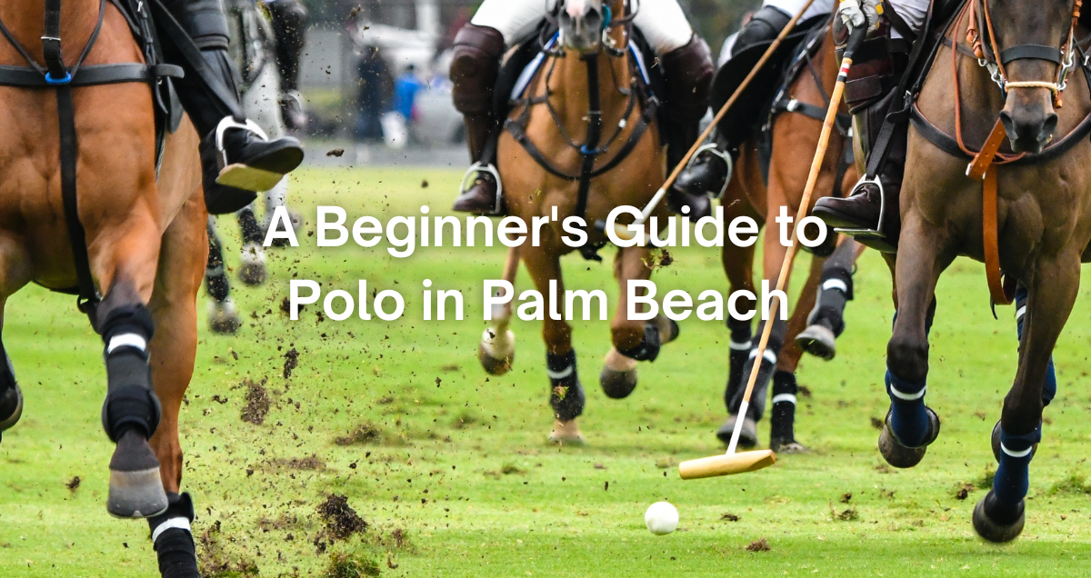 a game of polo being played in palm beach county florida