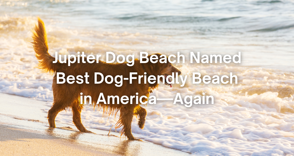 dogs at Jupiter Dog Beach in Florida