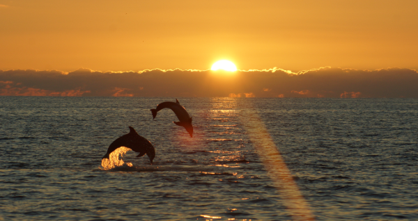 Sanibel Island Florida