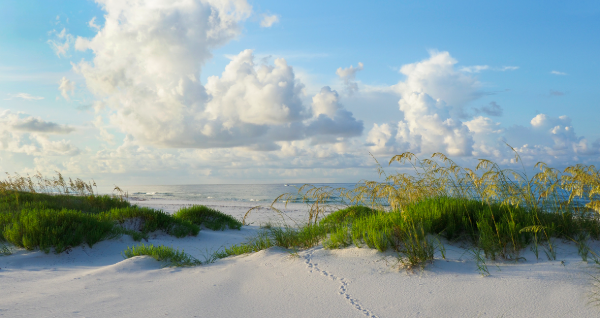 Santa Rosa Island Florida