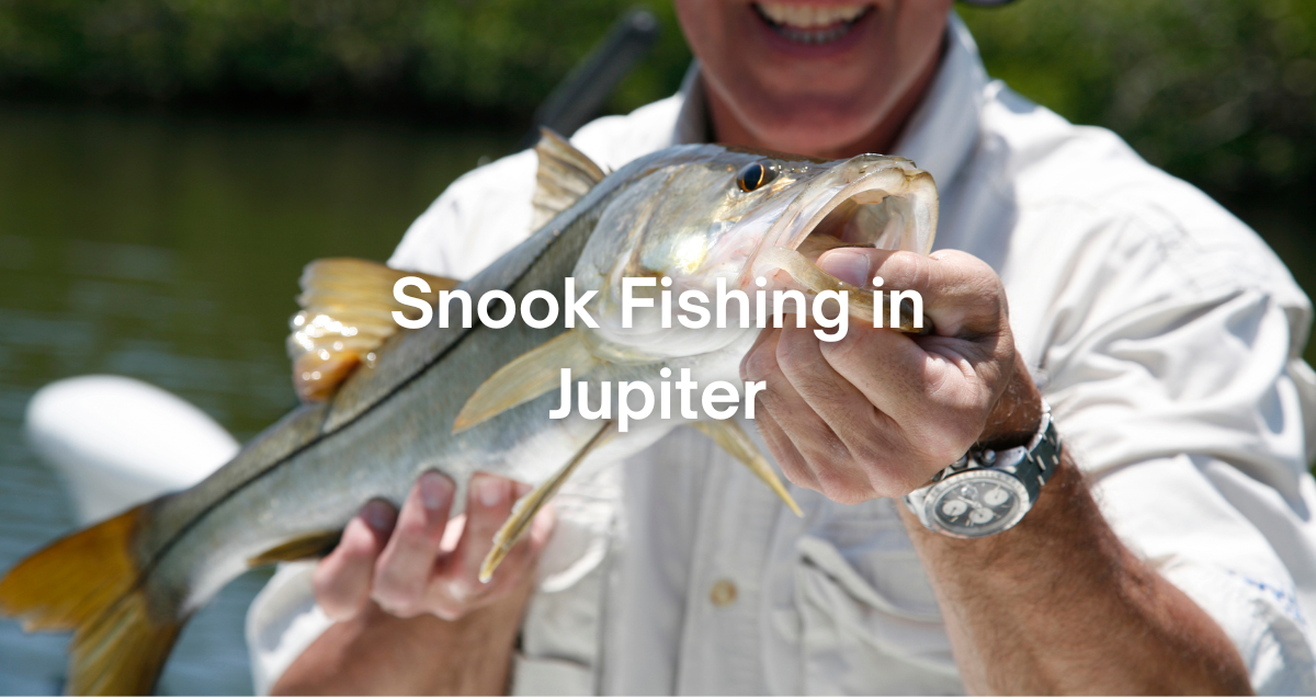 a fisherman catching a snook in Jupiter Florida