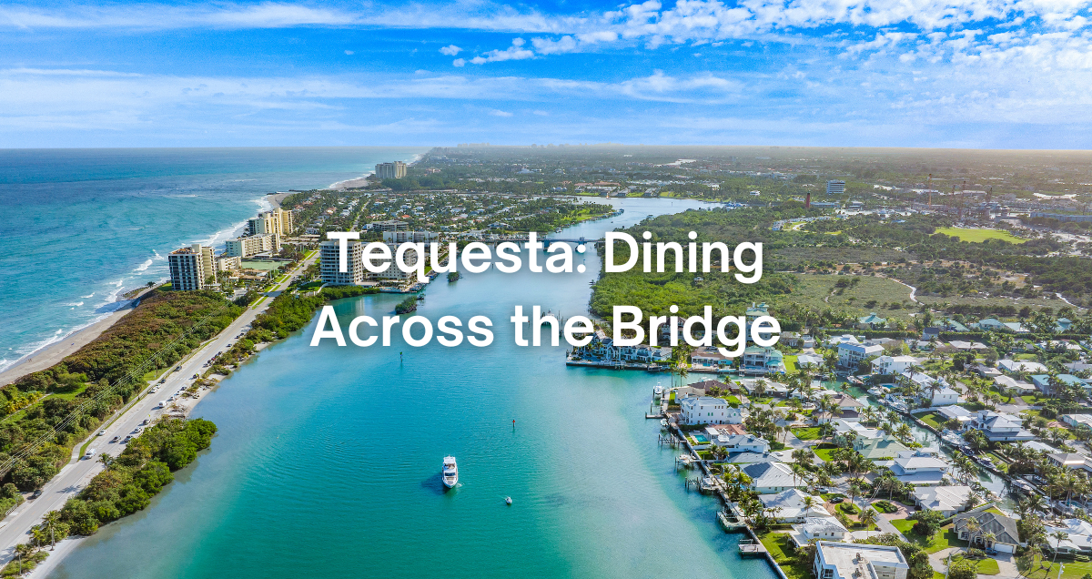an aerial view of Tequesta Florida